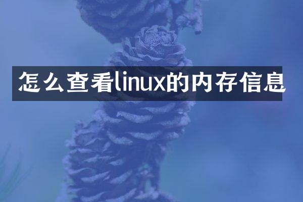 怎么查看linux的内存信息