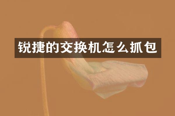 锐捷的交换机怎么抓包