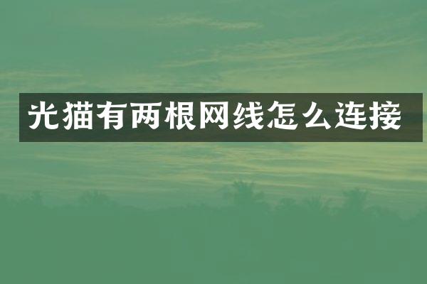 光猫有两根网线怎么连接