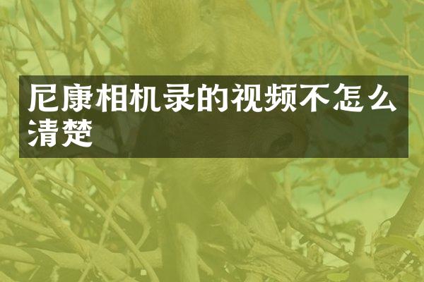 尼康相机录的视频不怎么清楚