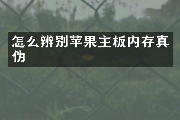 怎么辨别苹果主板内存真伪