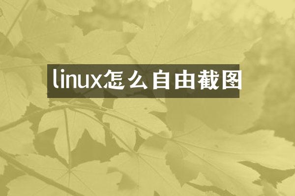 linux怎么自由截图