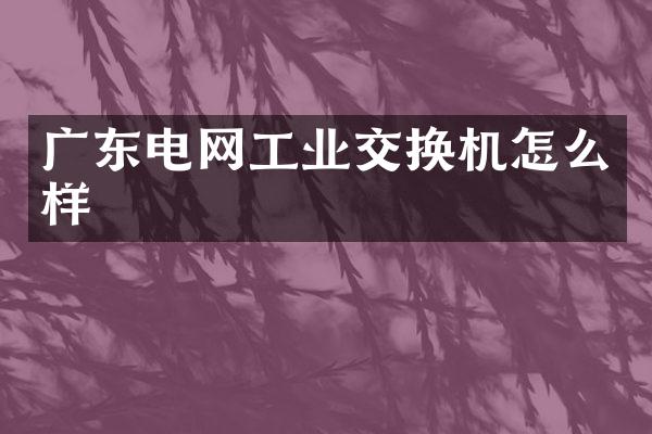 广东电网工业交换机怎么样