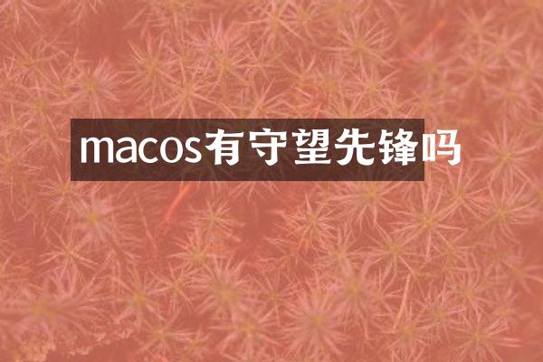macos有守望先锋吗