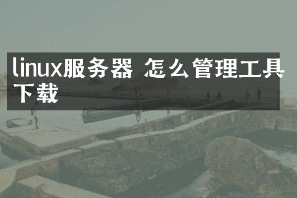 linux服务器 怎么管理工具下载