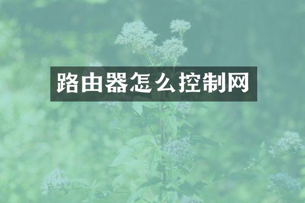 路由器怎么控制网