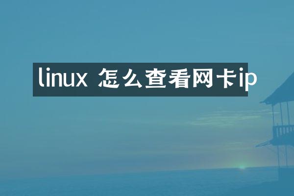 linux 怎么查看网卡ip