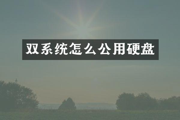 双系统怎么公用硬盘