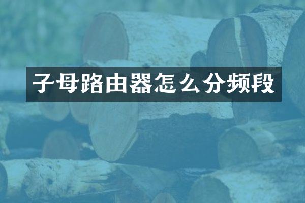 子母路由器怎么分频段