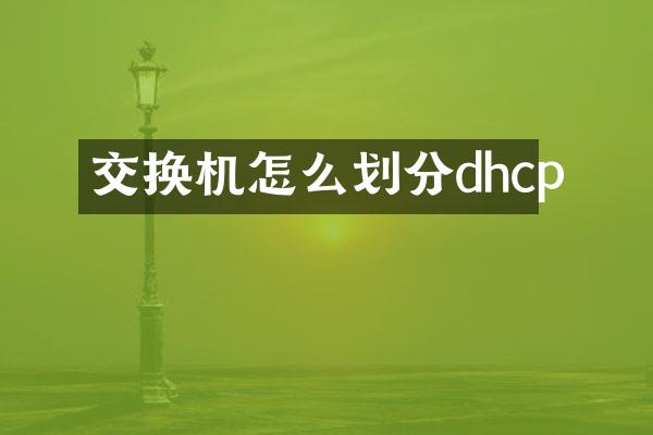 交换机怎么划分dhcp