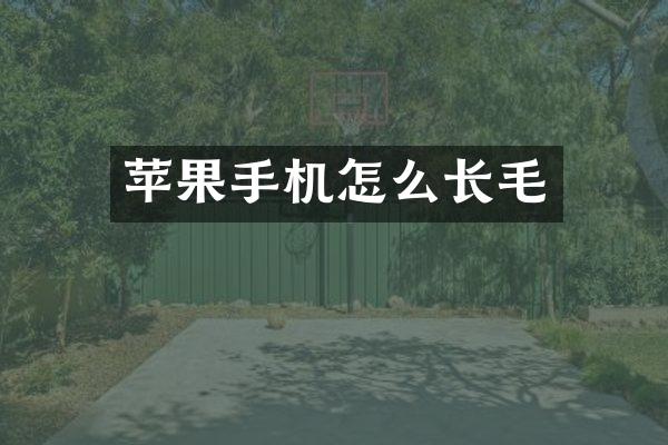 苹果手机怎么长毛
