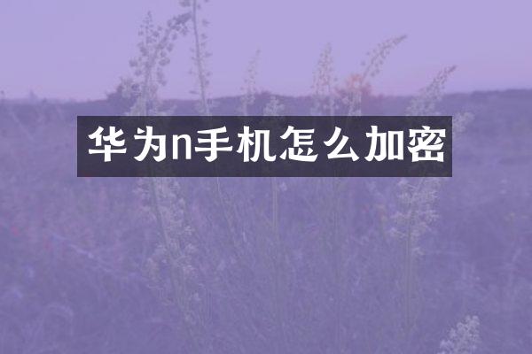 华为n手机怎么加密