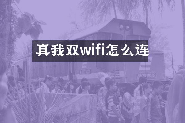 真我双wifi怎么连