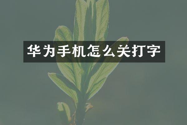 华为手机怎么关打字