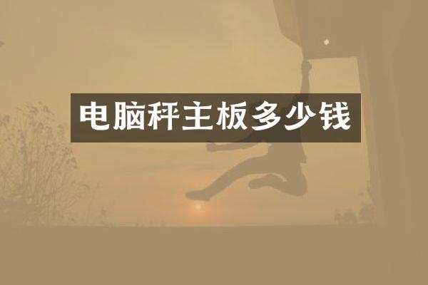 电脑秤主板多少钱