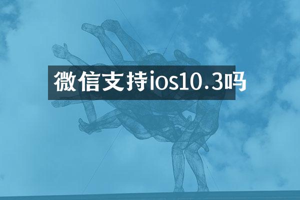 微信支持ios10.3吗