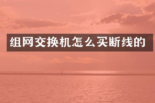 组网交换机怎么买断线的