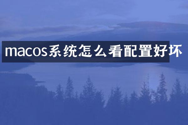 macos系统怎么看配置好坏