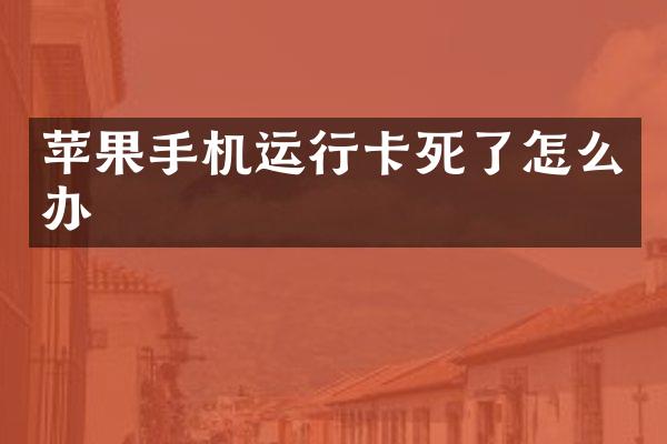 苹果手机运行卡死了怎么办