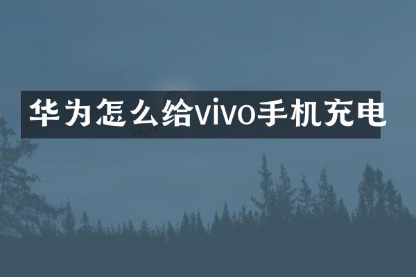 华为怎么给vivo手机充电