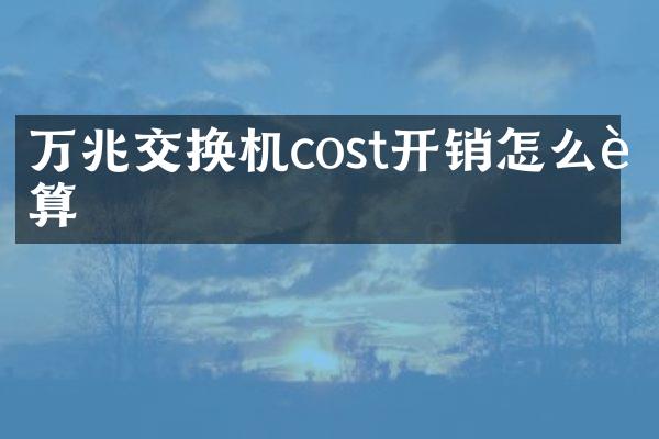 万兆交换机cost开销怎么计算