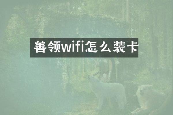 善领wifi怎么装卡
