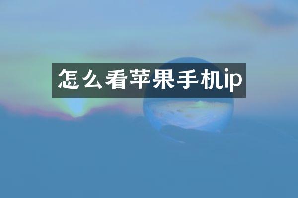 怎么看苹果手机ip