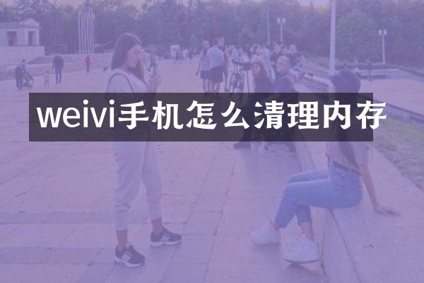 weivi手机怎么清理内存