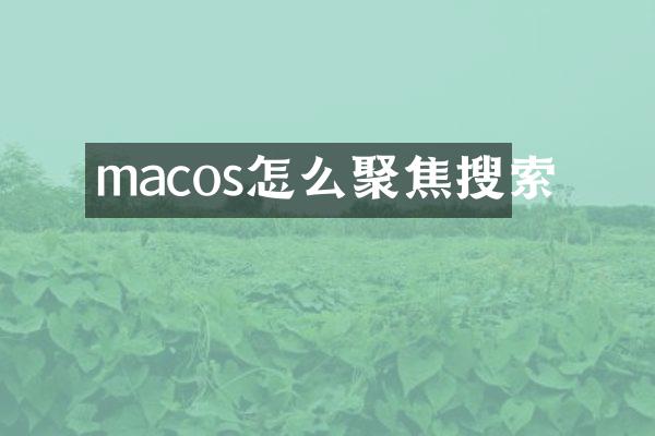 macos怎么聚焦搜索