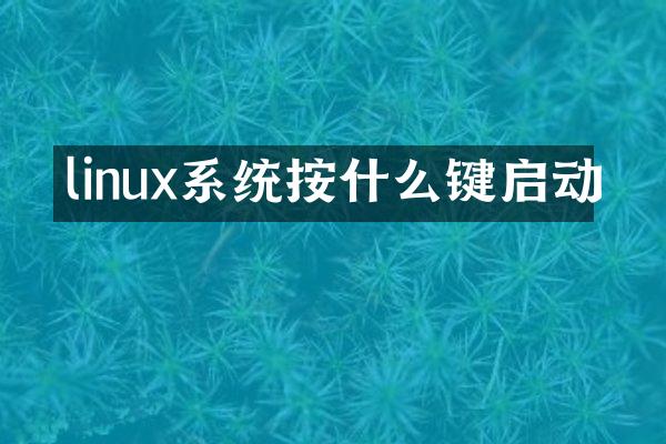 linux系统按什么键启动