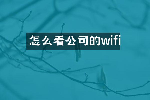 怎么看公司的wifi
