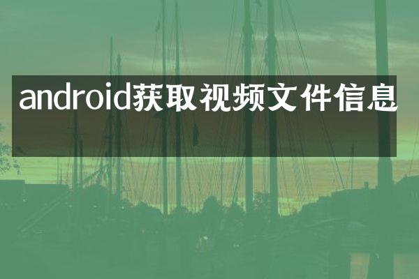 android获取视频文件信息吗