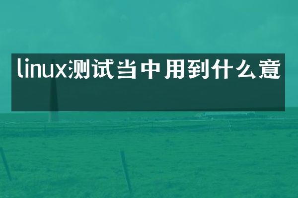 linux测试当中用到什么意思