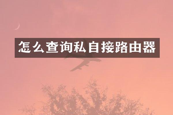 怎么查询私自接路由器