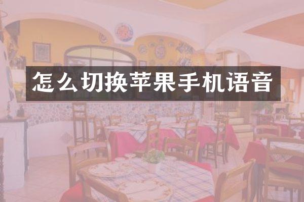 怎么切换苹果手机语音