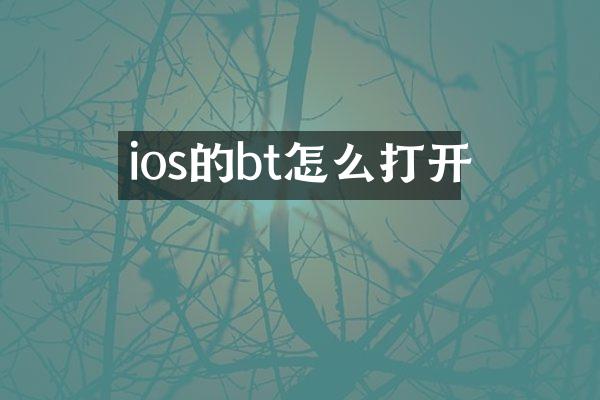 ios的bt怎么打开