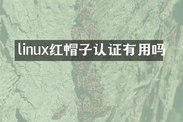linux红帽子认证有用吗
