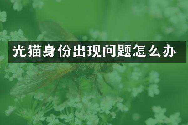 光猫身份出现问题怎么办