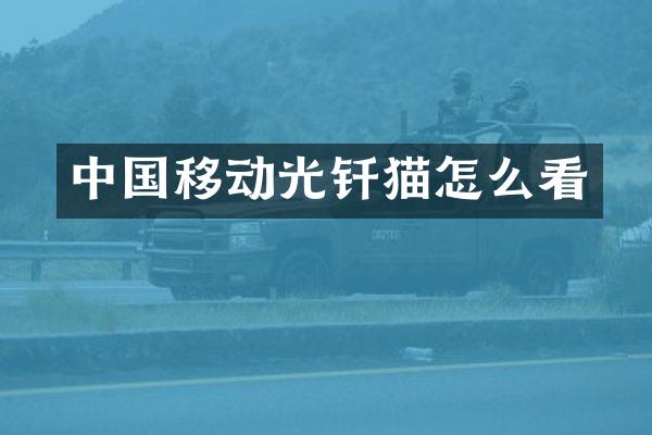 中国移动光钎猫怎么看