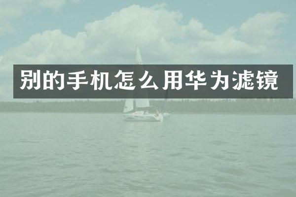 别的手机怎么用华为滤镜