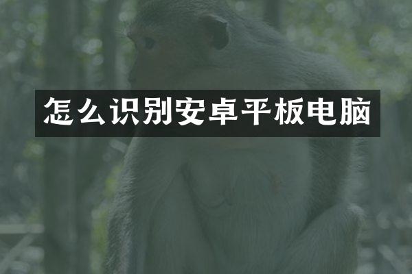 怎么识别安卓平板电脑