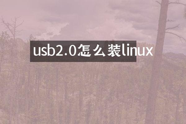 usb2.0怎么装linux