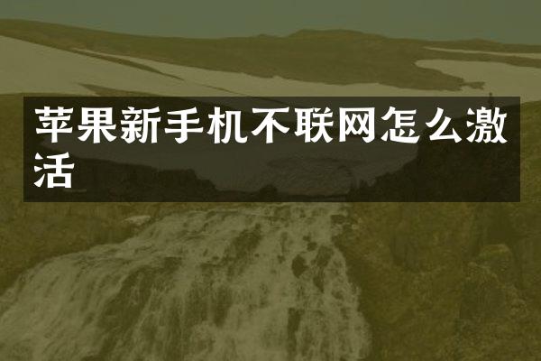 苹果新手机不联网怎么激活