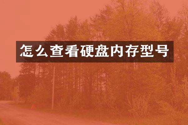 怎么查看硬盘内存型号