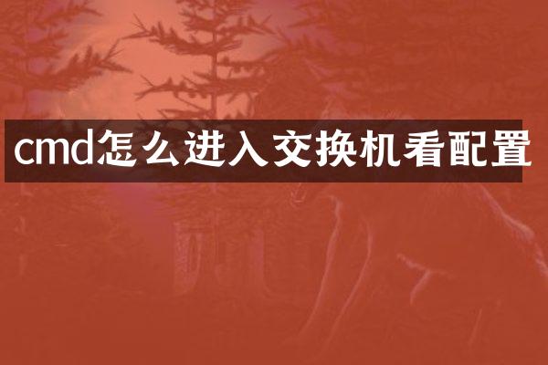 cmd怎么进入交换机看配置