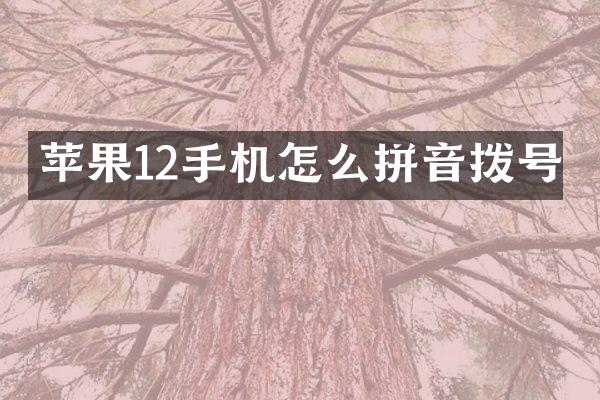 苹果12手机怎么拼音拨号