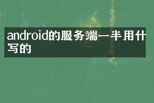 android的服务端一半用什么写的
