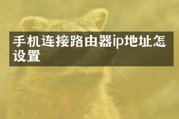 手机连接路由器ip地址怎么设置