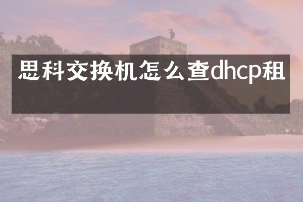 思科交换机怎么查dhcp租期