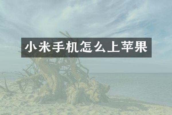 小米手机怎么上苹果